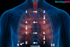 Percussion lung sounds placement (2)