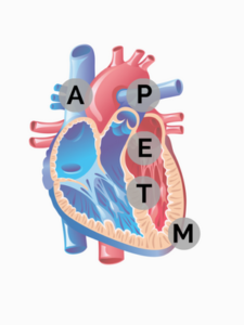 APETM Valves of the Heart